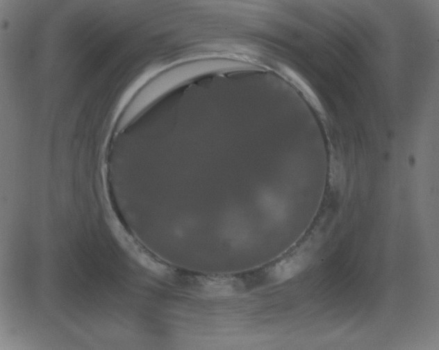 X0000081330899200701111356