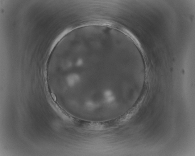 X0000081330907200701111356