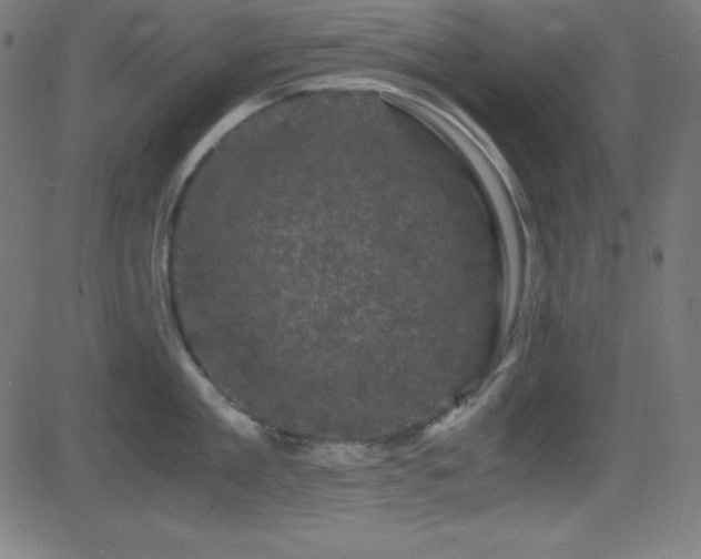 X0000081330909200701111355