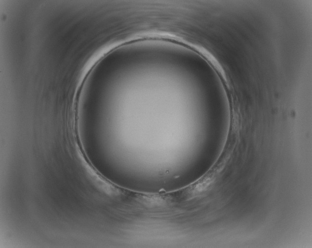 X0000081330911200701111355