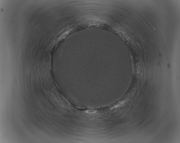 X0000081330916200701111355