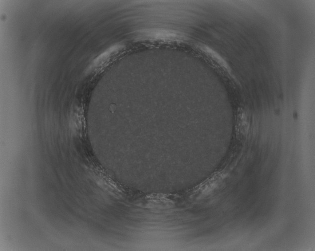 X0000081330918200701111355