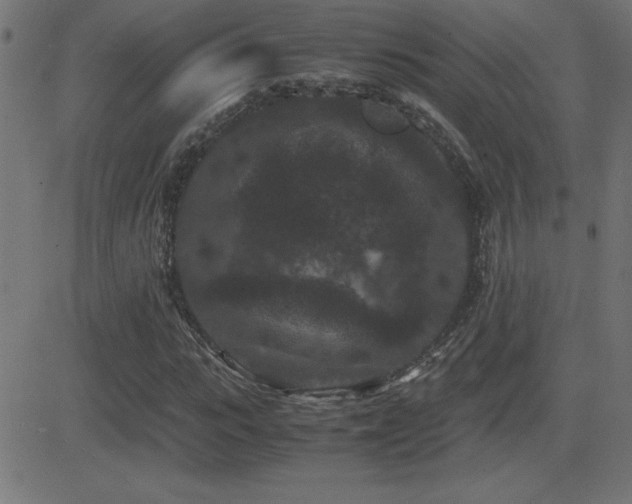 X0000081330919200701111355