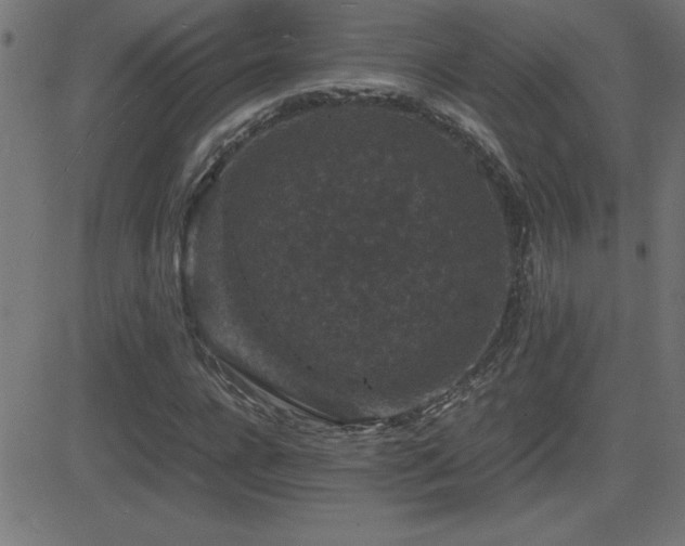 X0000081330920200701111355