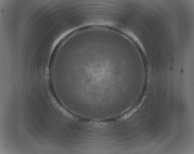 X0000081330928200701111355