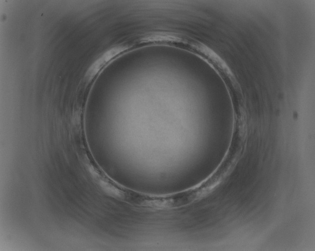 X0000081330937200701111355