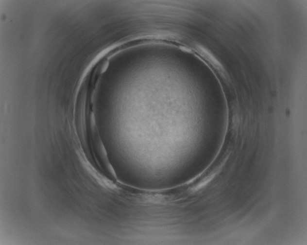 X0000081330940200701111355