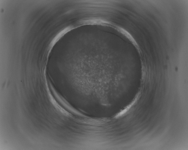 X0000081330946200701111355
