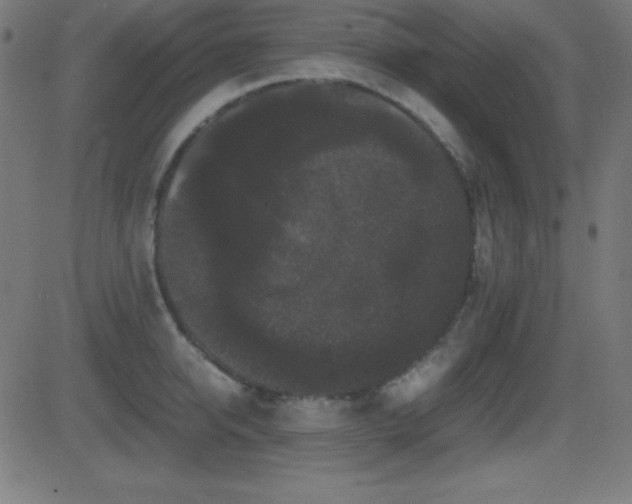 X0000081330950200701111355