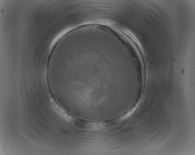 X0000081330952200701111355