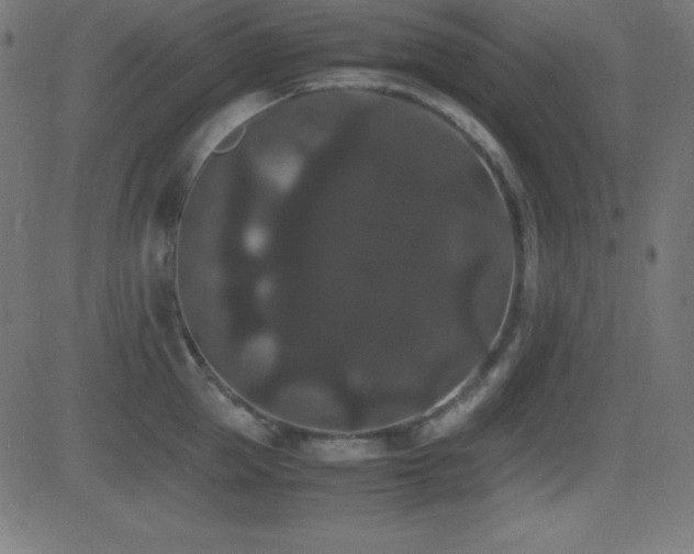 X0000081330953200701111355