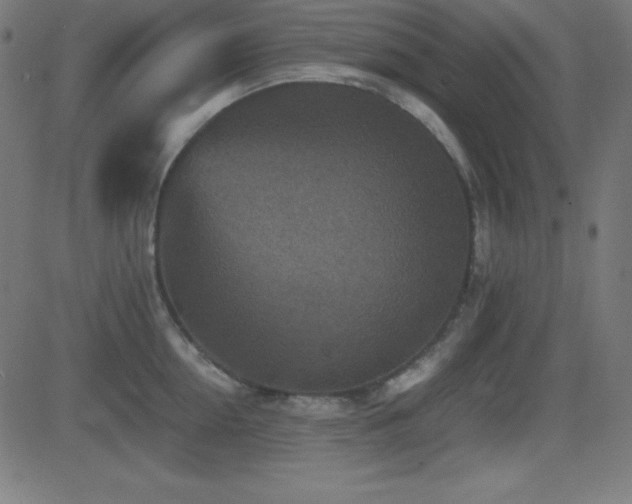 X0000081330954200701111355