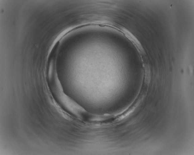 X0000081330956200701111355