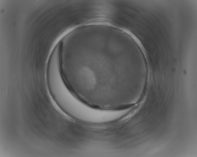 X0000081330957200701111355