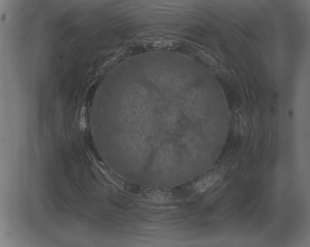 X0000081330962200701111355