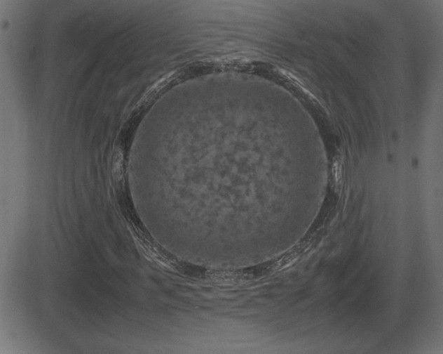 X0000081330963200701111355