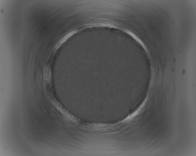 X0000081330969200701111355