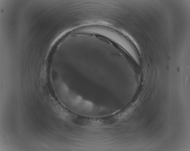 X0000081330975200701111354