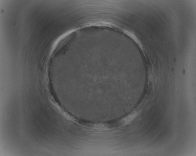 X0000081330979200701111354