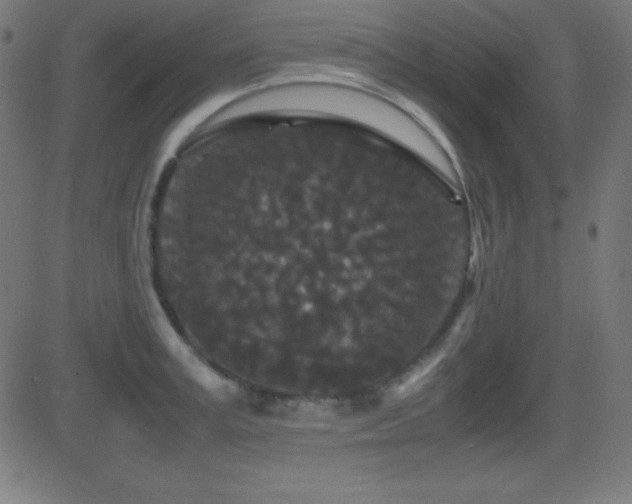 X0000081330995200701111354