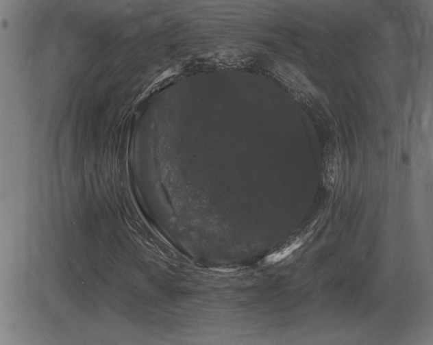X0000081331010200701111353