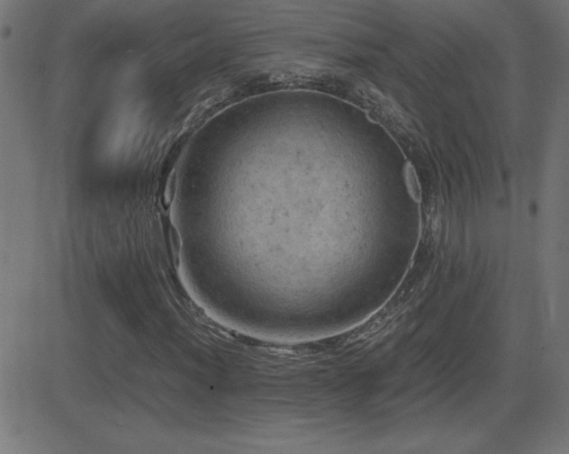 X0000081331012200701111353