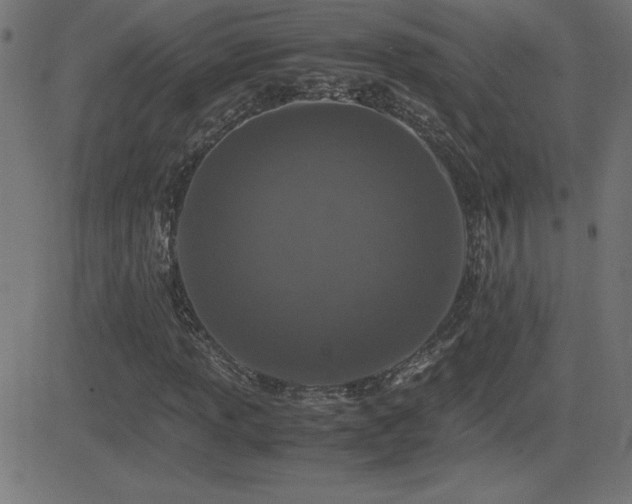X0000081331013200701111353
