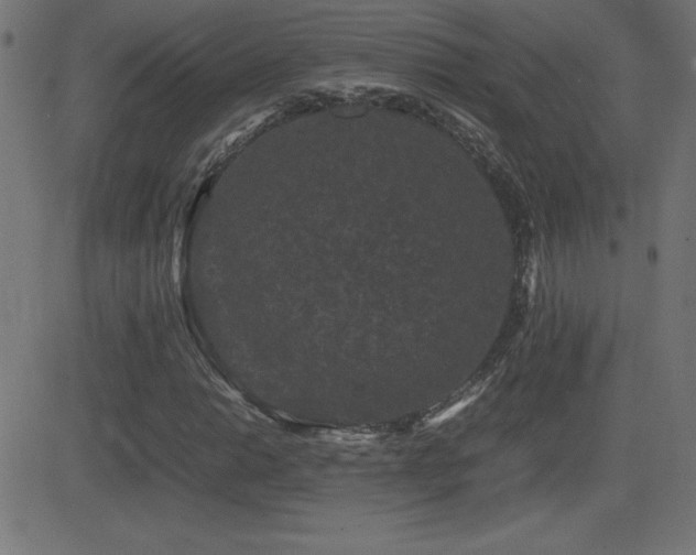 X0000081331014200701111353