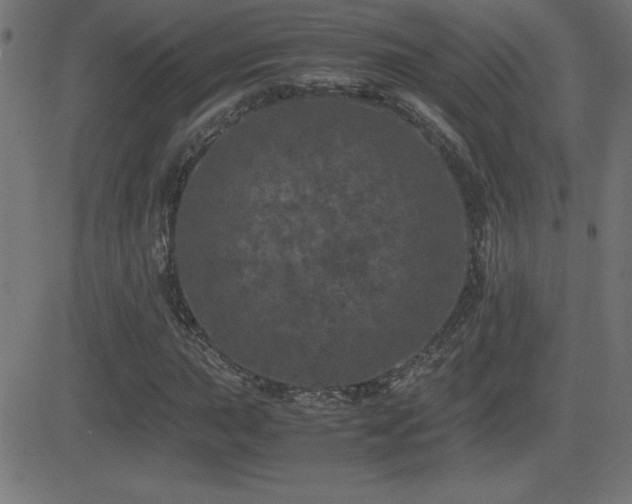 X0000081331015200701111353