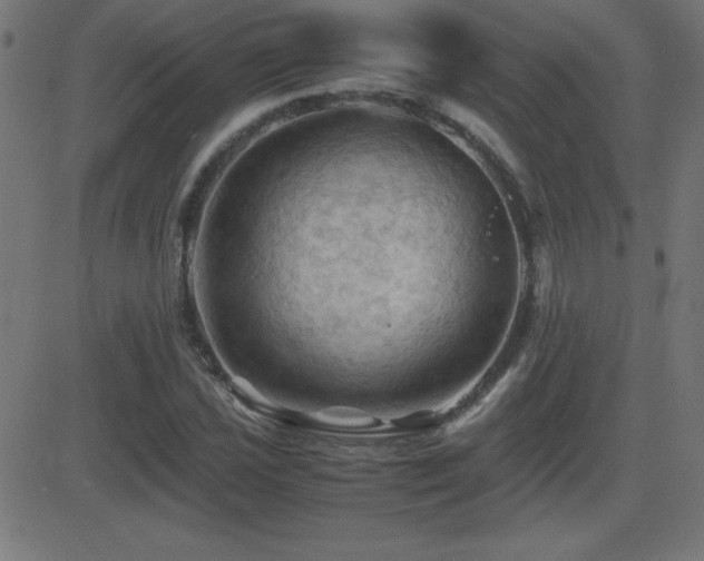 X0000081331021200701111353