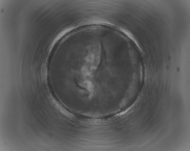 X0000081331024200701111353