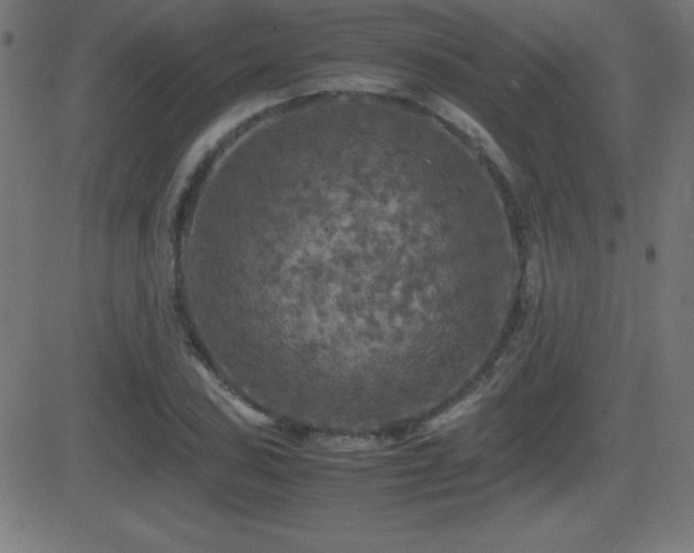 X0000081331027200701111353