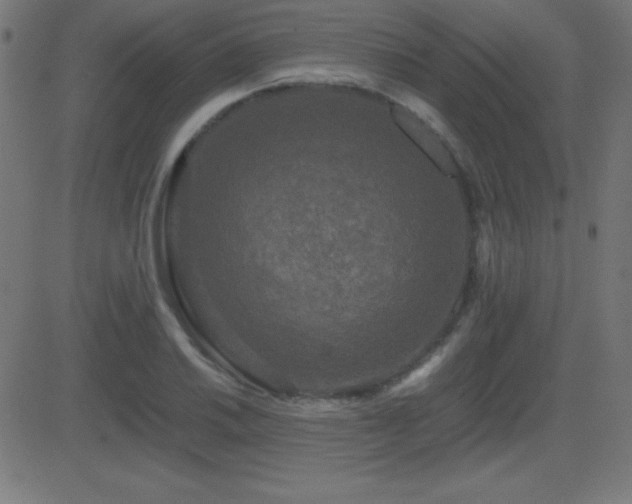 X0000081331030200701111353