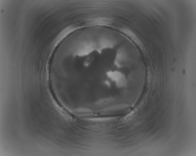 X0000081331031200701111353