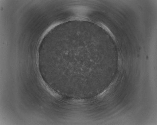 X0000081331035200701111354