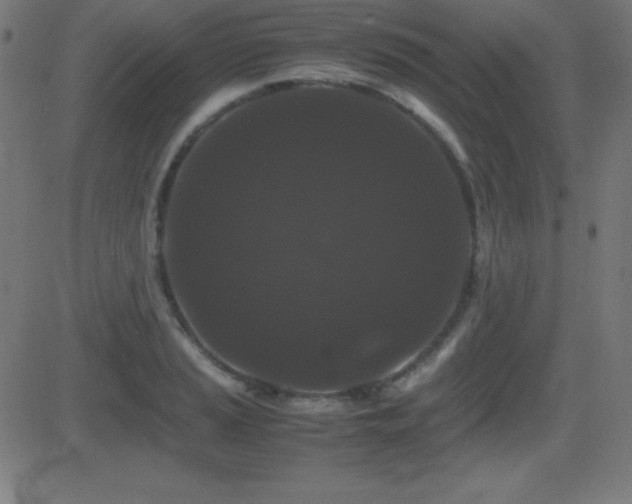 X0000081331037200701111354