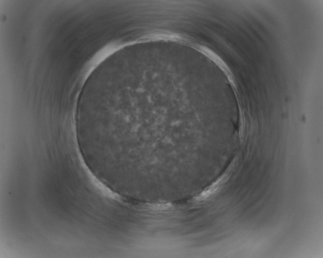 X0000081331055200701111354