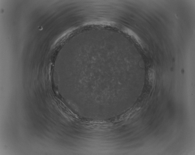 X0000081331064200701111353