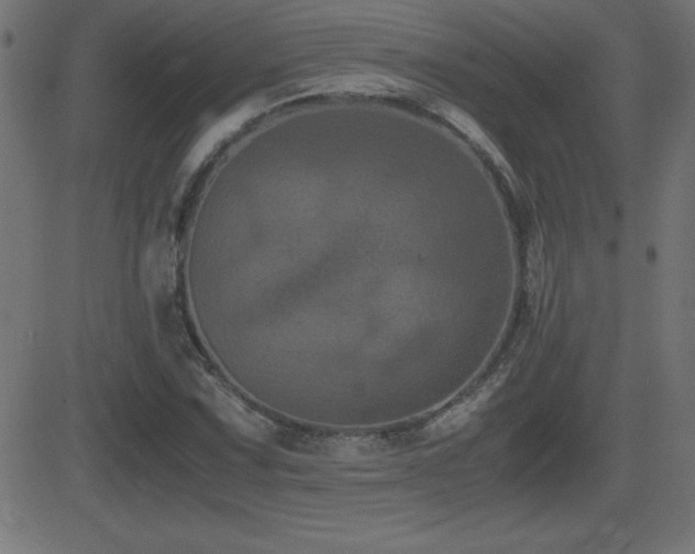 X0000081331067200701111353