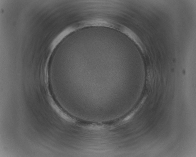 X0000081331082200701111353