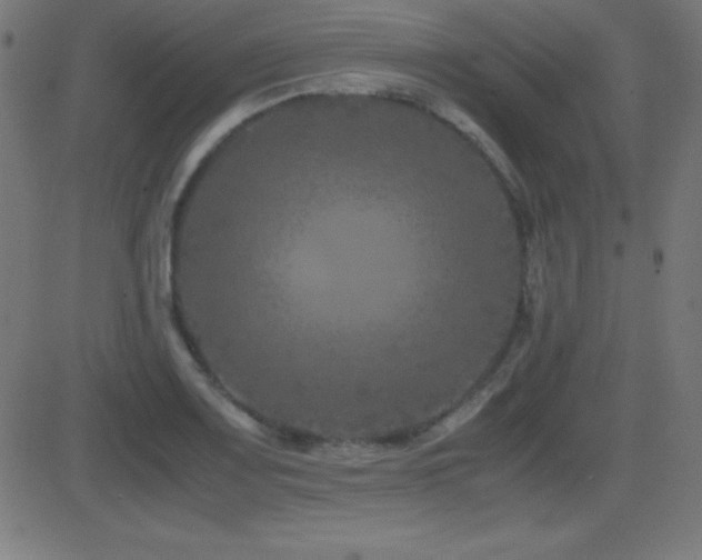 X0000081331083200701111353