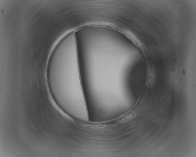X0000081331084200701111353