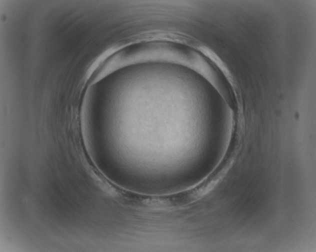 X0000081331089200701111353