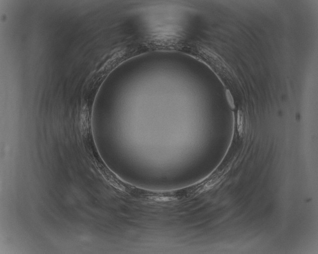 X0000081331107200701111352