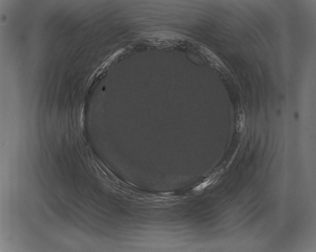 X0000081331108200701111352