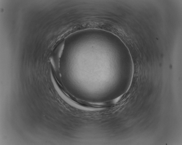 X0000081331109200701111352