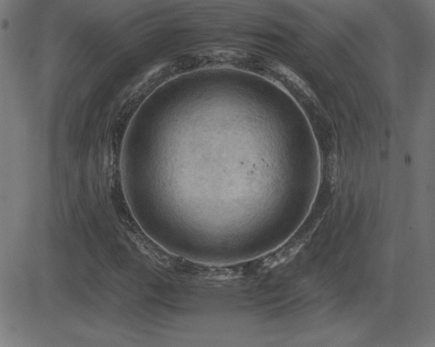 X0000081331111200701111352