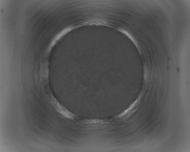 X0000081331115200701111352
