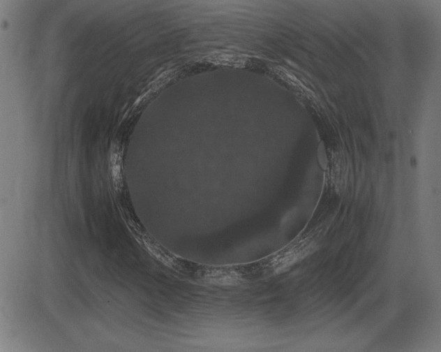 X0000081331154200701111351