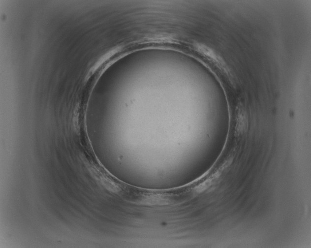 X0000081331162200701111351